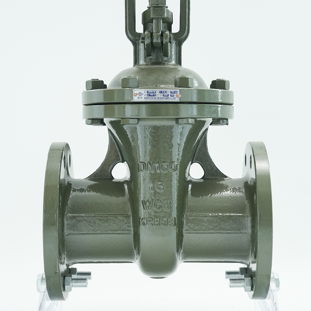 Changshui Technology Group Co, Ltd.