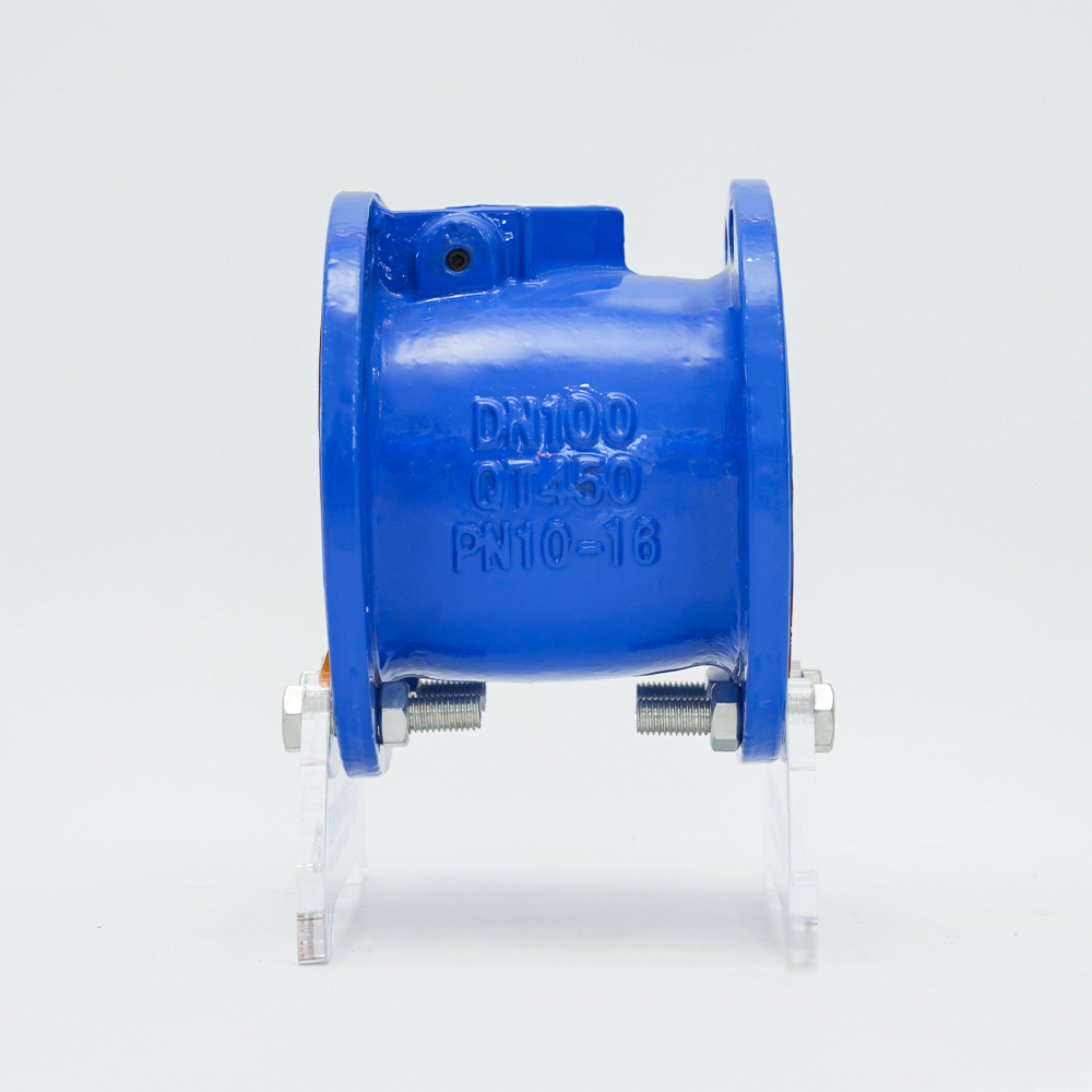 Bagong Rubber Disc Check Valve H44X-16Q