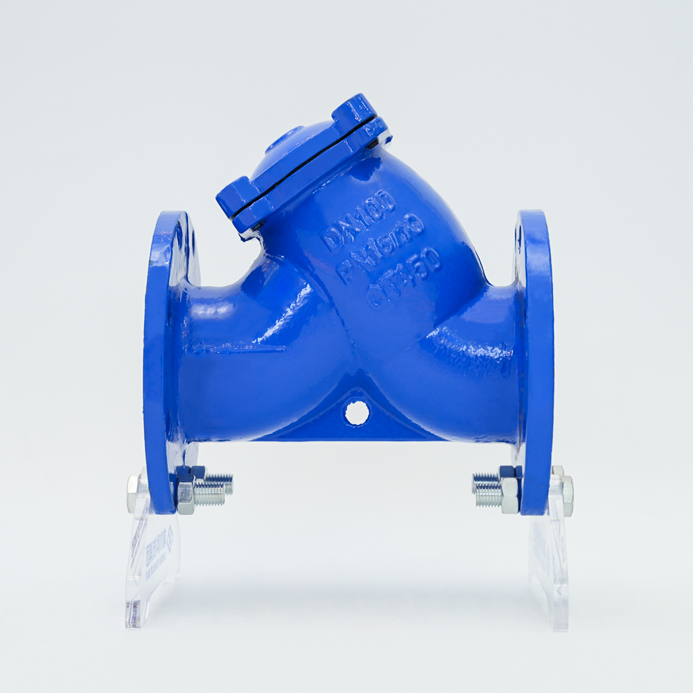 Cast iron y-type filter GL41H-16Q