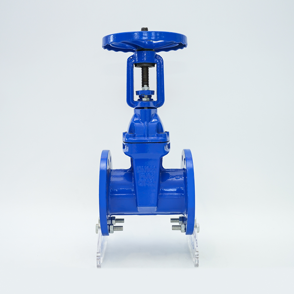Tumataas na stem soft seal gate valve z41x-16g