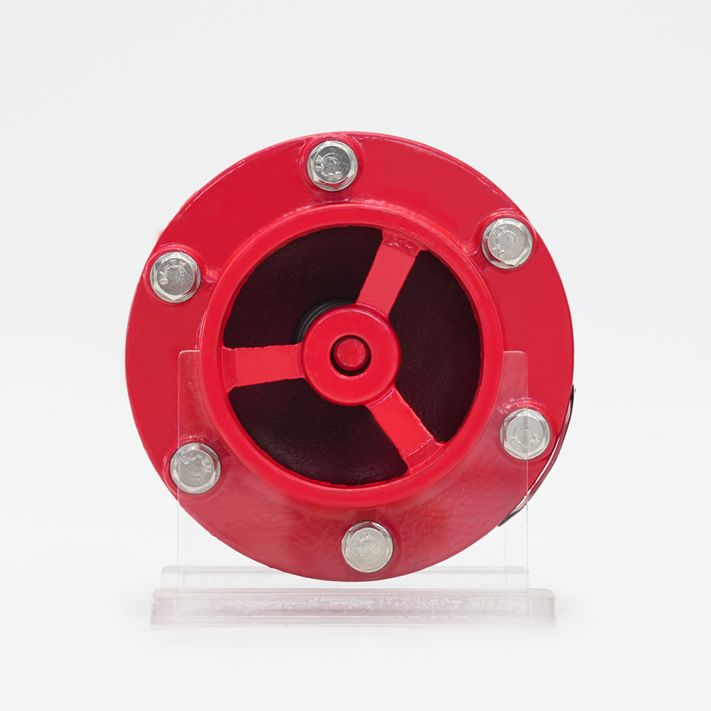 Grooved silencer check valve GHC41X-16Q