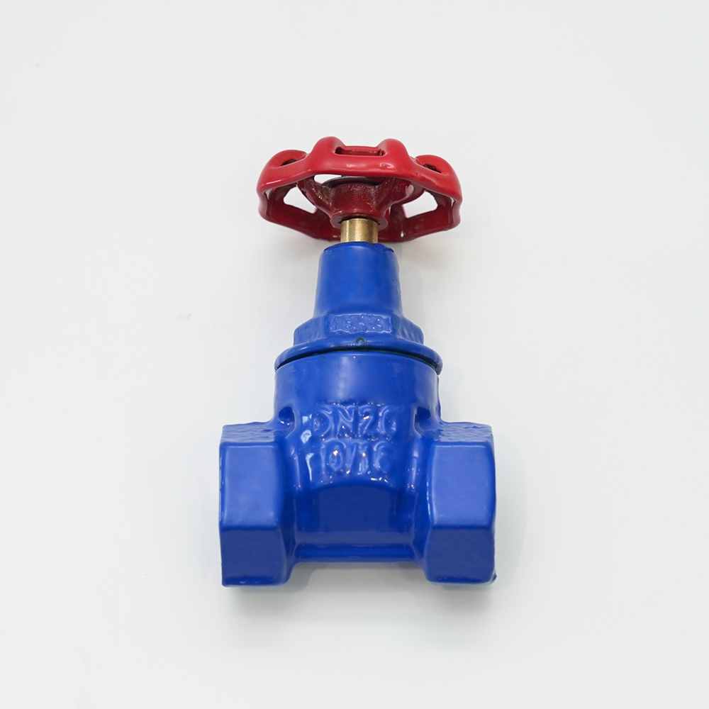 Threaded Elastic Seat Gate Valve Z15X-16Q