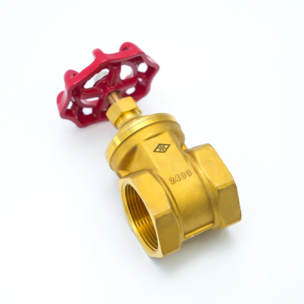 Changshui Technology Group Co, Ltd.