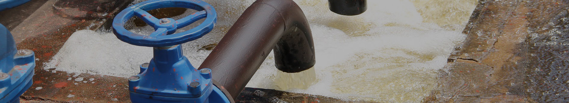 Changshui Technology Group Co, Ltd.